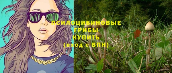 стаф Баксан