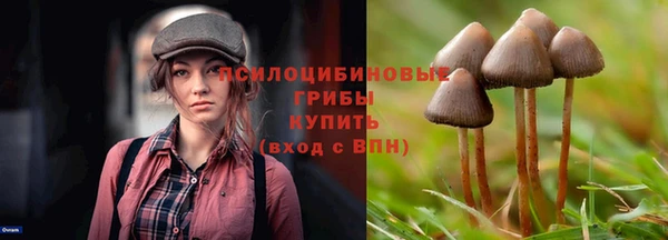стаф Баксан