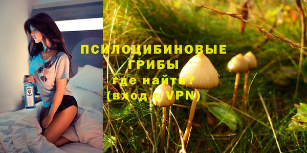 стаф Баксан