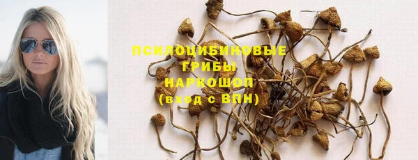 стаф Баксан